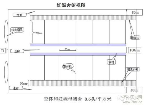 12米x12米猪圈怎么设计？猪圈设计图