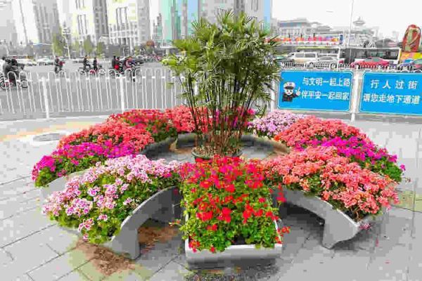 什么的花坛填空？景观花坛设计特点