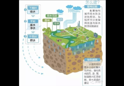 海绵城市设计都包括什么内容啊，求解答？市政设计包括哪些内容