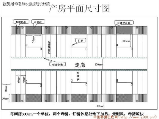 猪舍的基本设计包括哪些？养猪场怎样设计图