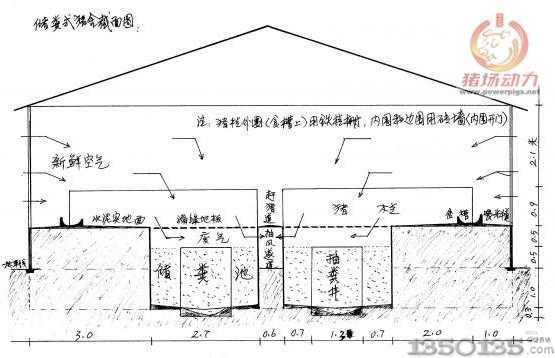 养猪场化粪池怎么设计？养猪场怎样设计图片