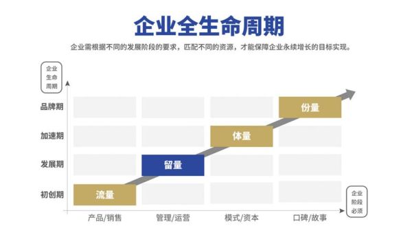 全生命周期有哪些过程？关于生命的设计