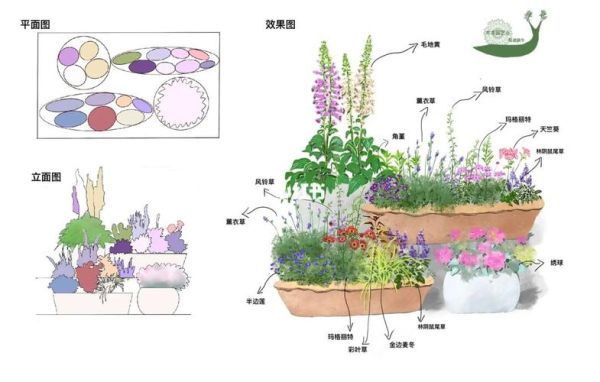 最简单的花境配置？花瓶容器造型设计