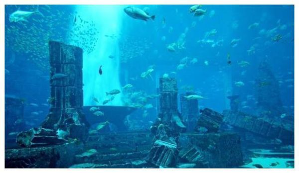 和平精英水族馆建造条件？水族馆建筑设计