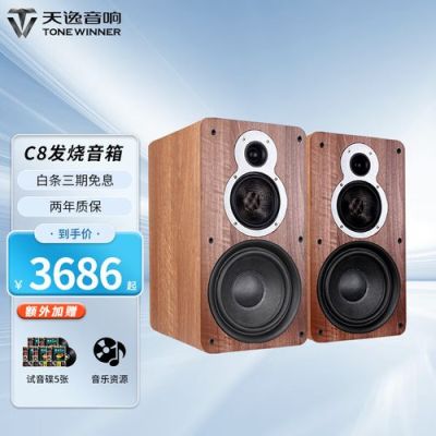 天逸童笛c8音箱配什么功放好？小功放音响设计方案