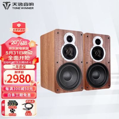 天逸童笛c8音箱配什么功放好？小功放音响设计方案