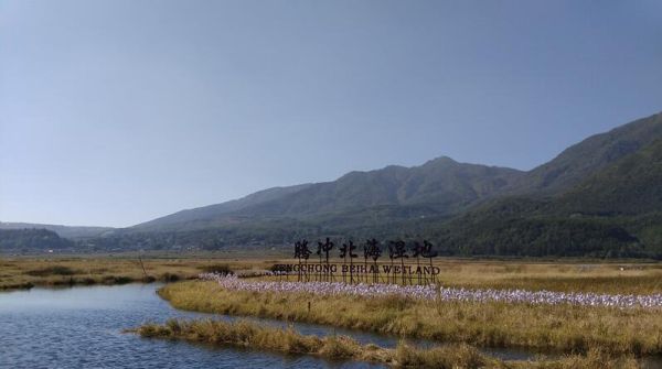 腾冲北海湿地最好游玩顺序？北海连体楼总设计师