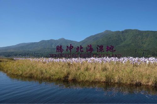 腾冲北海湿地最好游玩顺序？北海连体楼总设计师