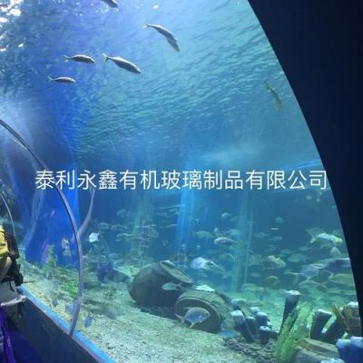 海洋馆玻璃是如何安装的？海洋馆设计方案图片