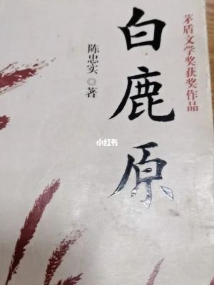 小说白鹿原白孝义结局？孝义设计师