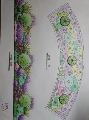 花境施工图是什么？花镜设计图纸