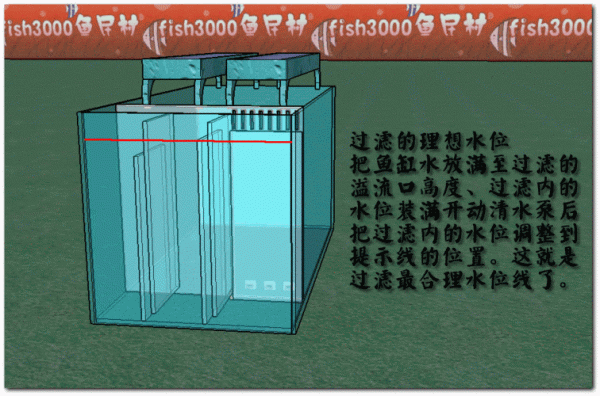 鱼缸上滤系统如何布置？鱼缸上滤槽滤设计