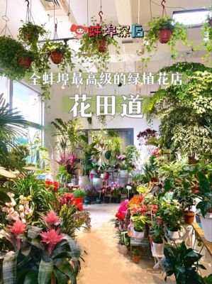 花田app怎么样？绿植设计师网