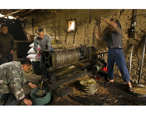 在乡镇开个榨油坊，做现榨油来料加工，可行吗？（新农村住宅200平方设计图）