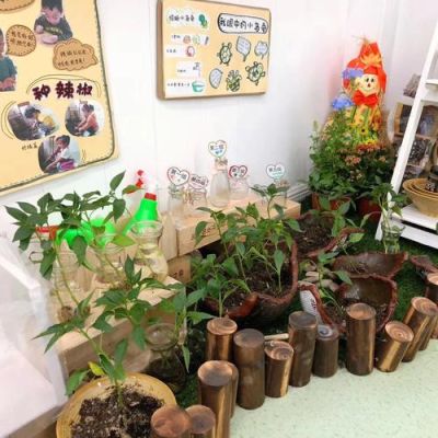 幼儿园植物角墙面布置，一起来了解一下？（幼儿园墙壁布置设计图片大全图片）