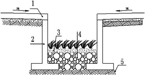 水沟头是什么？（生态水沟设计图）