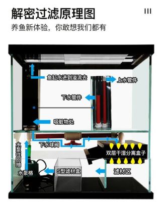 哪种底滤最好用？（什么牌子鱼缸底滤设计好）