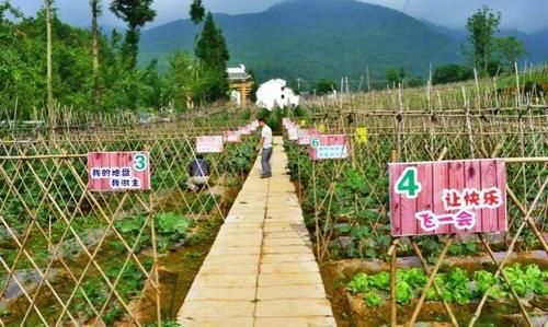 家庭农场建筑用地标准？（农场设计效果）