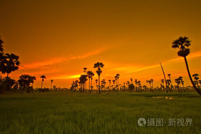 田园风光，画中有落日的余晖，有广阔的田野…还有什么呢？（田园风格服装设计手绘效果图）