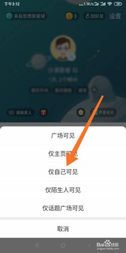 soul广场可见和主页可见区别？（外广场如何设计效果图）