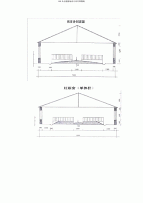 我想问一下100头母猪猪舍图纸该怎样设计？（100以内图纸设计图）