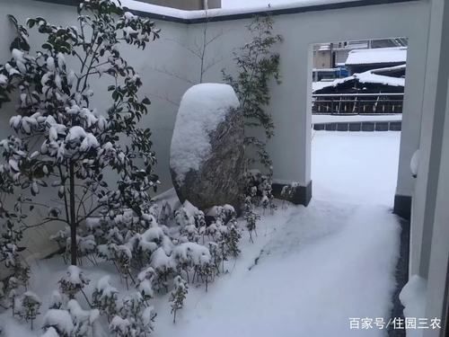 农村院子里除雪的最省力方法？（农村一层平房庭院设计效果图）