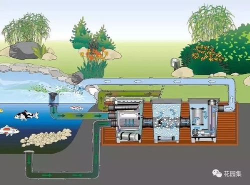 花园水池水循环系统做法？（花园水池设计理念）