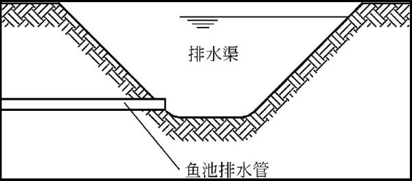 生态鱼池排水口怎么做？（鱼池排水口的设计）