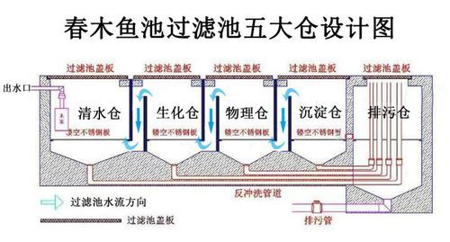 鱼池过滤系统究竟应该如何设计才会一劳永逸？（自来水水池过滤设计图）