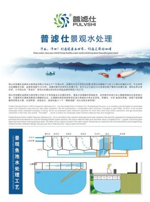 鱼池过滤系统究竟应该如何设计才会一劳永逸？（自来水水池过滤设计图）