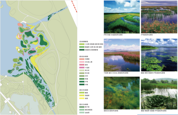 湿地公园改造的设计思路？（湿地公园工程设计）