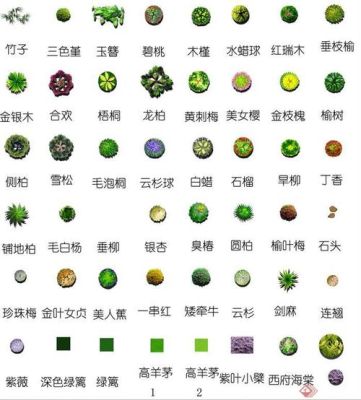 园林植物的配置有几种形式？（园林植物景观设计图）