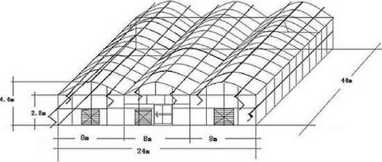 大棚通风怎么弄？（大棚能通风设计图）