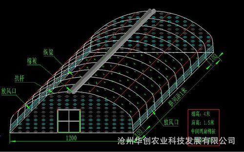 大棚通风怎么弄？（大棚能通风设计图）